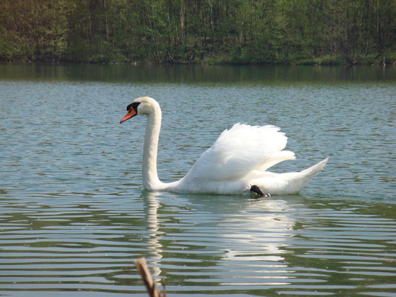 Sony DSC-T300: stylových 10 MPx s dotykovým LCD