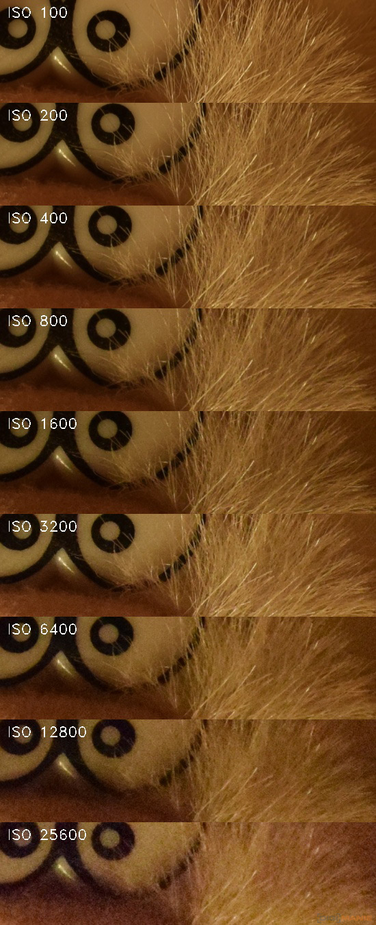 Nikon D5300: bezdrátový DSLR turista