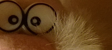 Nokia Lumia 1020 vs. 808 PureView