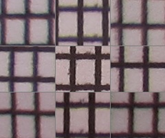 Canon IXUS 220 HS: multifunkční Karkulka