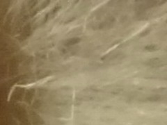 Sony Cyber-shot TX10: odolný zálesák