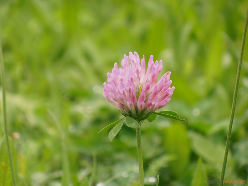 Starý vs. nový aneb megapixely k ničemu?