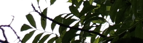 Panasonic Lumix S Pro 70-200mm F4 O.I.S.