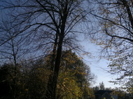 Fotíme mobilem: Panoramata jako nepřekonatelný problém?