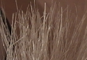 Samsung NX20: za více peněz více muziky