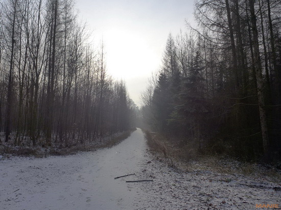 Panasonic Lumix LX7: kompaktní hvězda noci