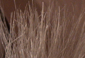 Samsung NX20: za více peněz více muziky