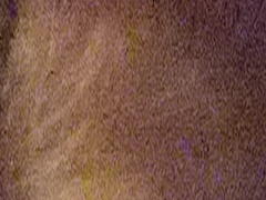 Fujifilm FinePix HS20EXR: důstojný nástupce