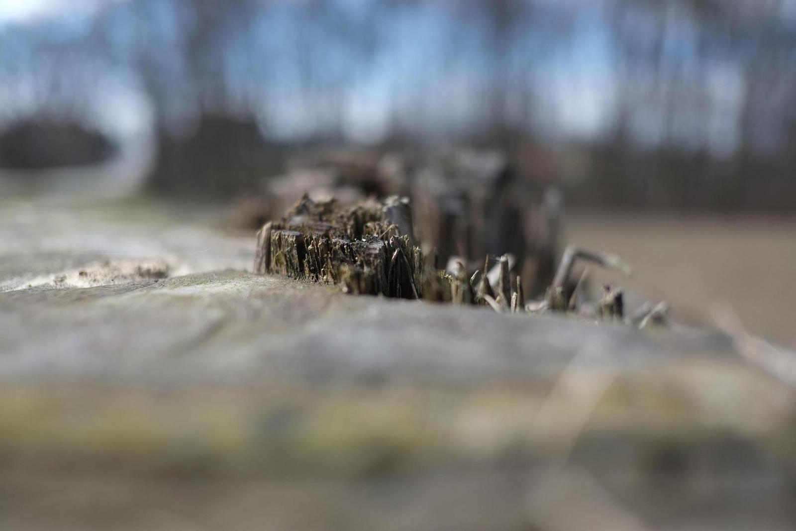 Fujinon XF 18mm f/2R