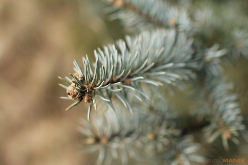 Canon EOS 60D: na pomezí dvou světů