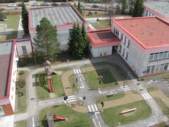 Fotíme s Koalou: Zoom a perspektiva