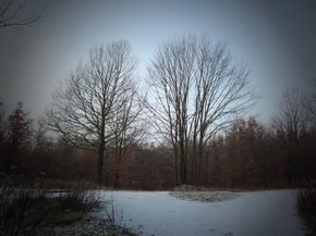 Panasonic Lumix LX7: kompaktní hvězda noci