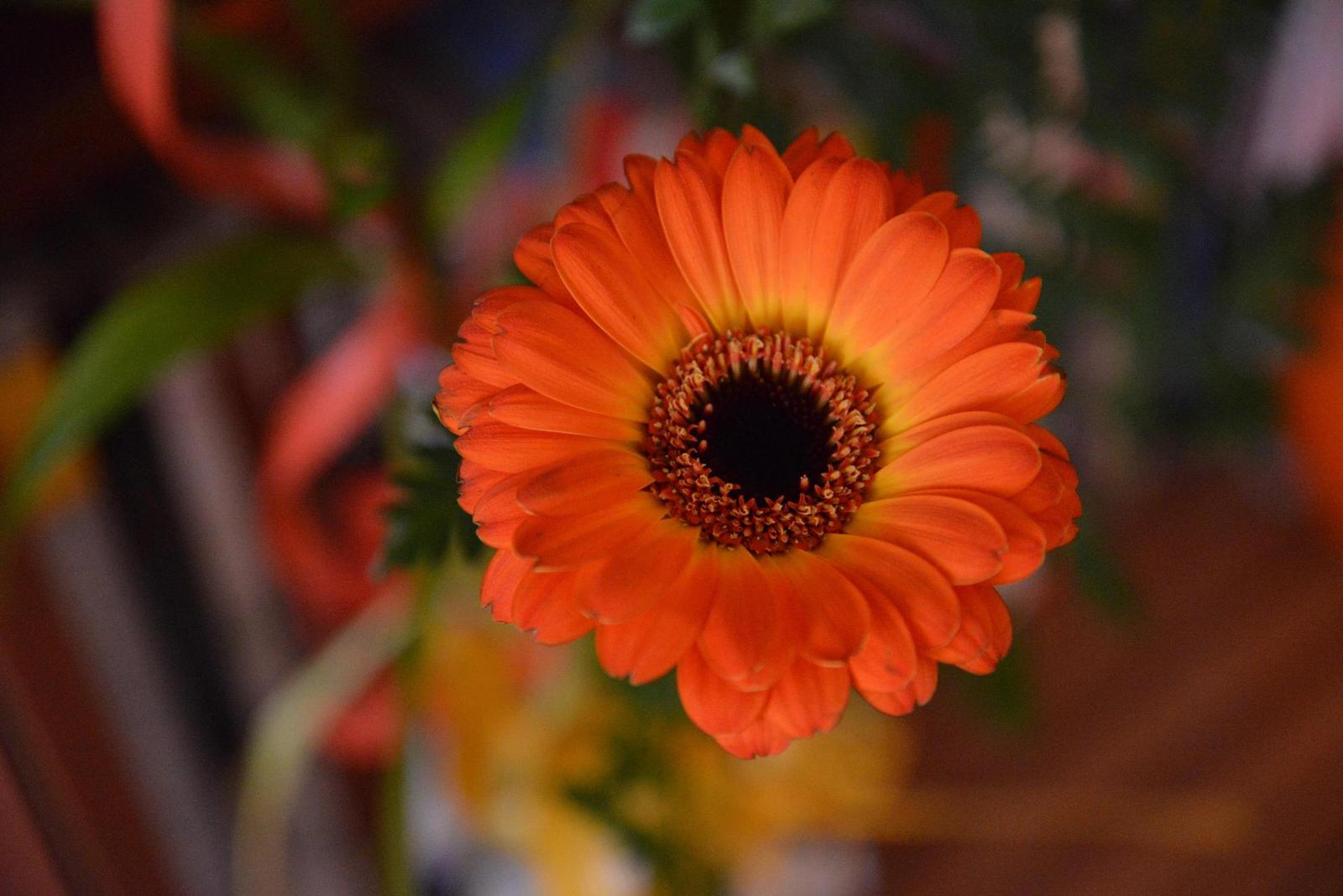 Nikon D600: vynikající vstup do světa full frame