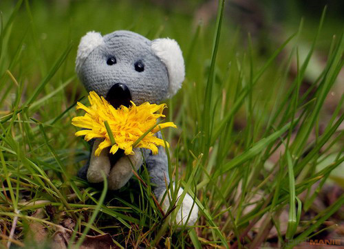 Fotíme s Koalou: Korekce expozice