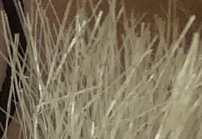 Sony Cyber-shot HX20V: umí snad všechno