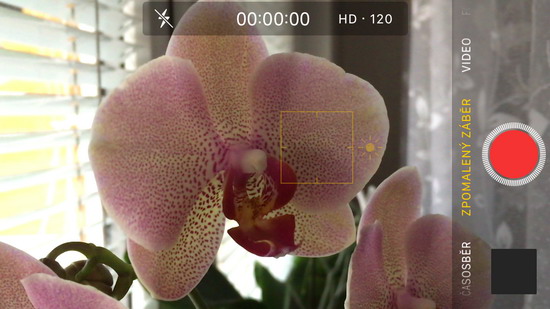 Apple iPhone SE: kompaktní silák