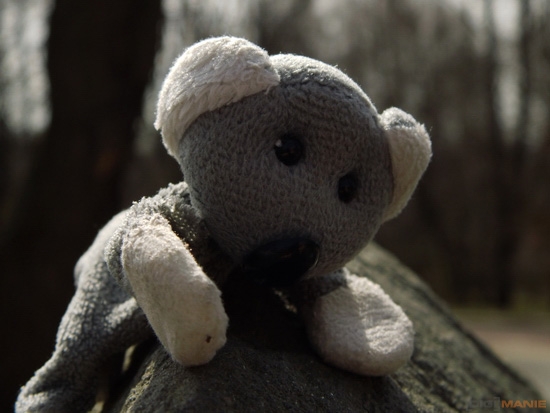 Fotíme s Koalou: Protisvětlo, HDR a odrazné... cokoli