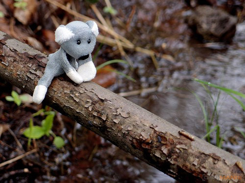 Fotíme s Koalou: Expoziční čas