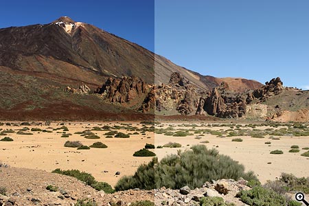 Přehled zajímavostí za 44. týden 2006