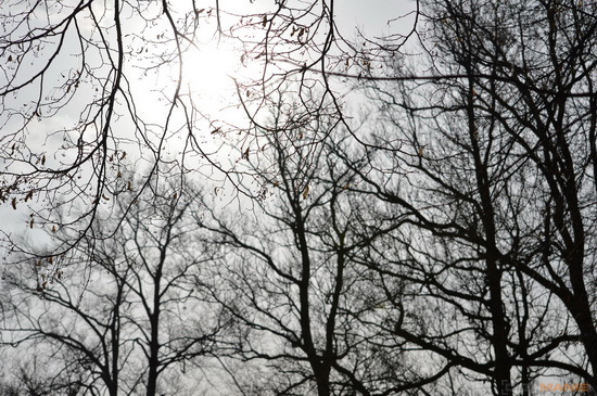 Nikon AF-S NIKKOR DX 55-300mm 1:4.5-5.6G ED VR