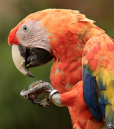 Úpravy fotografií v PC, 12. díl - doostřování