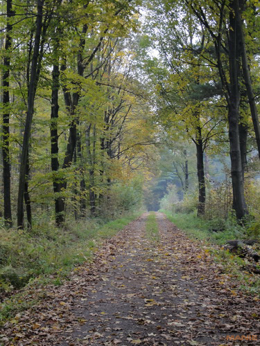 Sony Cyber-shot WX5: kompaktní klenot