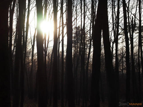 Olympus M.Zuiko Digital 45mm 1:1.8