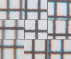 Fujifilm X-S1: jedinečný