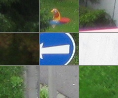 Canon A3000 IS vs. A3100 IS: souboj megapixelů