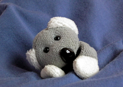 Fotíme s Koalou: Vyvážení bílé