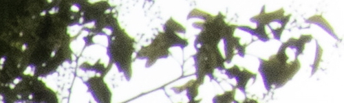 Nikon Coolpix B700: přírodovědec