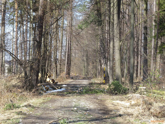 Canon PowerShot SX50 HS: překvapivá kombinace