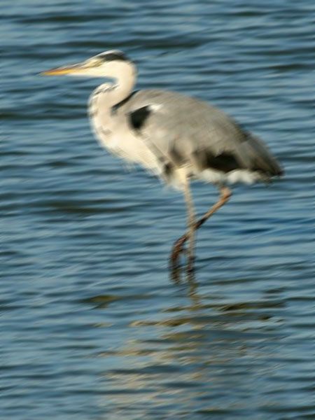 DSLR na cestě časem - 13. díl