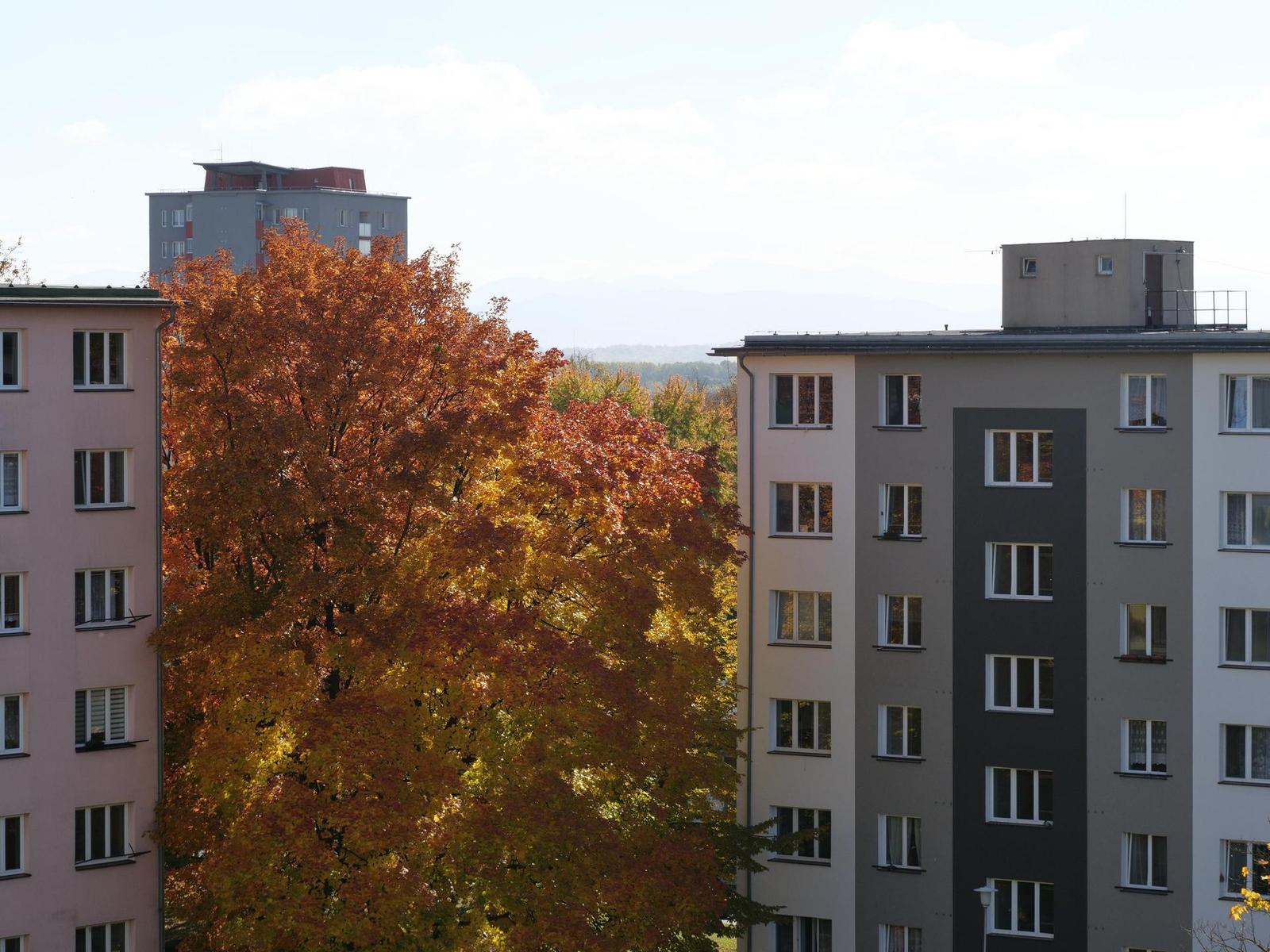 Panasonic Lumix GH5 II: nejen pro vloggery