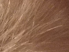 Fujifilm FinePix HS20EXR: důstojný nástupce