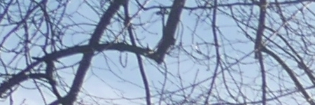 Panasonic Lumix G Vario 12-32mm f/3.5-5.6 ASPH. / MEGA O.I.S.