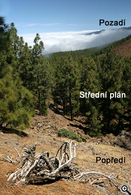 Cesta ke kvalitní fotografii: 2.díl