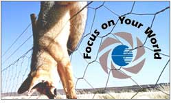 Fotografická soutěž: Focus on your world