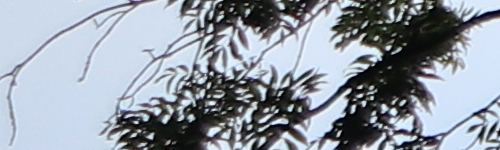 Canon EF-M 15-45mm f/3.5-6.3 IS STM