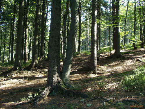 Starý vs. nový aneb megapixely k ničemu?