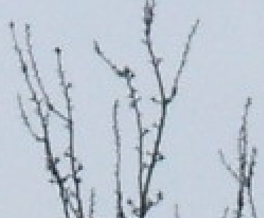 S A500 můžete klidně začít!