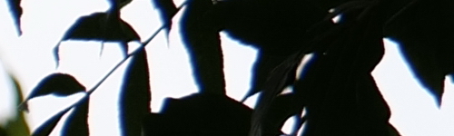 Panasonic Lumix S Pro 70-200mm F4 O.I.S.