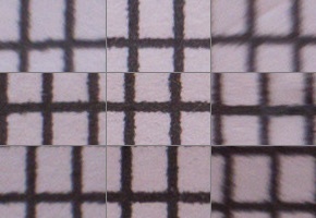 Panasonic Leica DG Vario-Elmarit 12-60mm / F2.8-4.0 ASPH. / Power O.I.S.