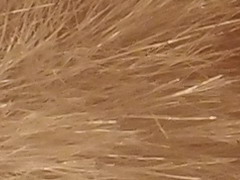 Olympus XZ-1: trefa do černého