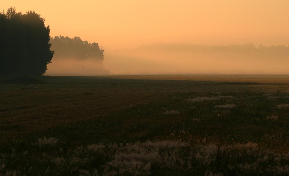 Tipy a Triky nejen pro začátečníky, díl 5. - Fotografujeme na jaře