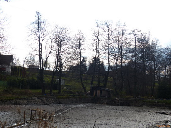 Panasonic Lumix FZ200: ultrazoomové překvapení roku