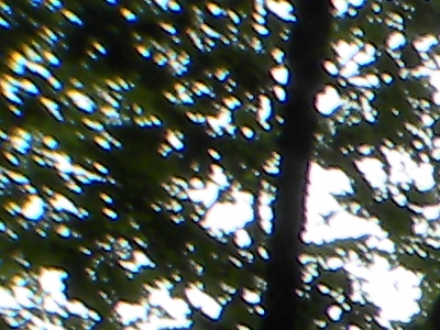 Nikon Coolpix P90: napodruhé mnohem lépe