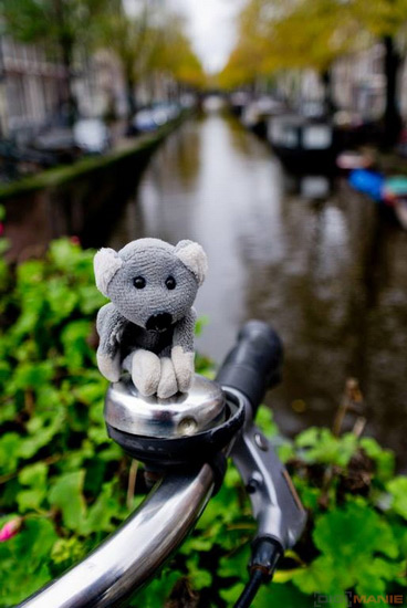 Koala cestuje: Eindhoven a Amsterdam v Holandsku
