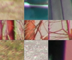 Megatest ultrazoomových objektivů