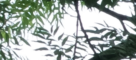 Samsung 16-50mm 1:3.5-5.6 ED OIS Power Zoom